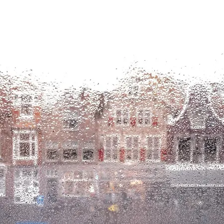 Whs Cozy Lofts Haarlem