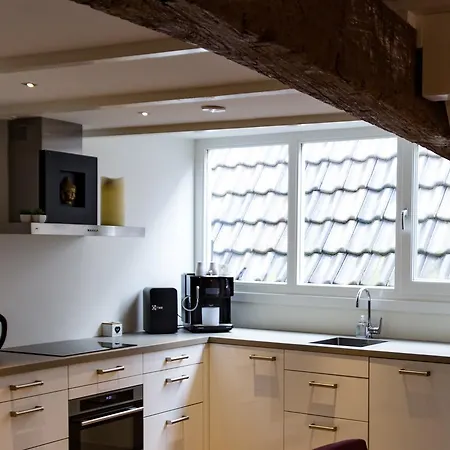 Whs Cozy Lofts Haarlem