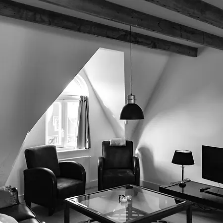 Whs Cozy Lofts * Haarlem